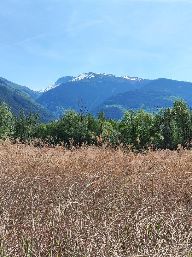 Le Cyprès En Centre Bourg-Saint-Maurice